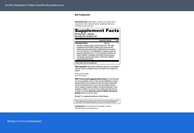 Metaburn: 2026 Ingredients Review with 5 Key Insights